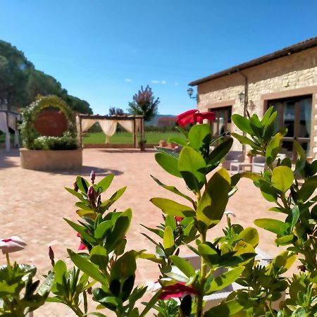 Il Pianaccio Villa Spoleto Dış mekan fotoğraf