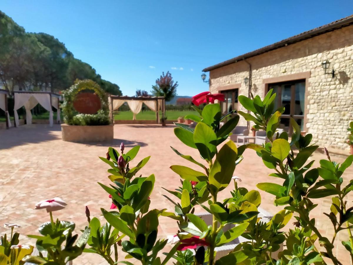 Il Pianaccio Villa Spoleto Dış mekan fotoğraf